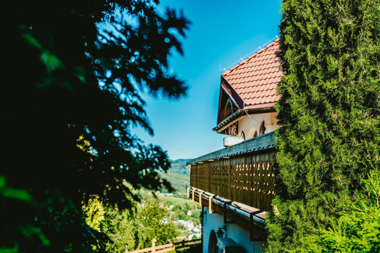 Karolowy Dwor Wisła Extérieur photo